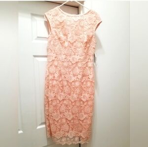 Ivy + Blu Sheath Dress, size 4, NWT!